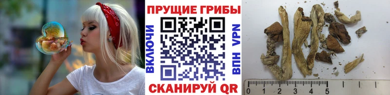 Псилоцибиновые грибы ЛСД  наркотики  Черемхово 